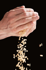 A hands hold a pile of rice, symbolizing charity, love, and hope. With cultural significance. Global effort to feed and give hope to the poor, fighting hunger and poverty. Black background