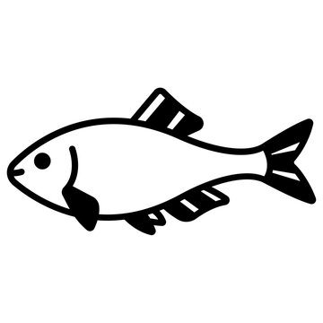 bitterling Fish glyph and line vector illustration