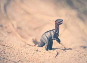 Toy dinosaur on a sandy beach