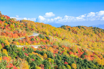 秋の磐梯吾妻スカイライン　福島県福島市　Bandai Azuma skyline in autumn. Fukushima Pref, Fukushima City.