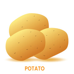 Potatoes icon. Set of Potatoes vector illustration. Realistic potato icon. Vector illustration of potato, vegetables icon.