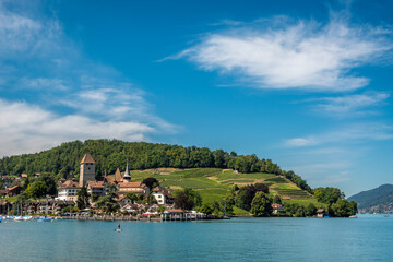 Fototapeta na wymiar Spitz Castle and terraced vineyards above Lake Thun, Spitz, Bern, Switzerland.