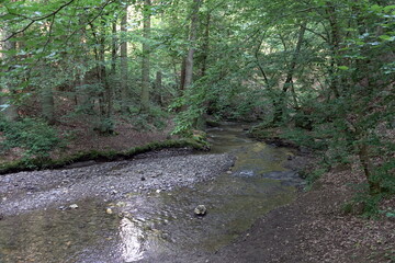 Mastershausener Bach im Hunsrueck