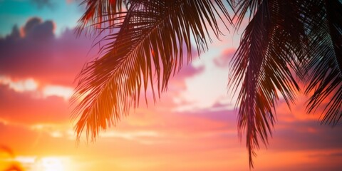 Fototapeta na wymiar Vibrant Palm Tree Silhouetted Against A Stunning Sunset Sky With Bokeh Lights. Сoncept Nature's Majestic Beauty, Serene Evening Glow, Silhouette In Paradise, Capturing Sunset Magic