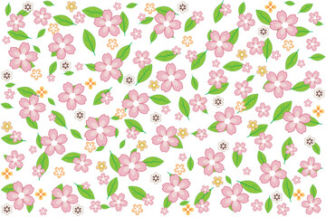Illustration, pattern of sakura flower and leaf on white background.