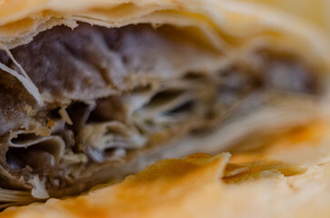 The apple strudel with a detailed structure of layers and filling