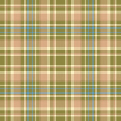 Plaid seamless pattern. Check fabric texture. Vector textile print.