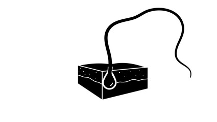 Hair Follicle, black isolated silhouette