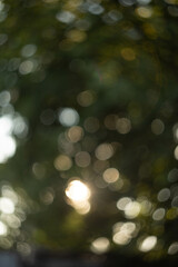 abstract bokeh background