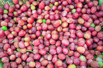 Ripe, juicy red Kafal berries, kept on a small basket for sale in local market, meghalaya, India....