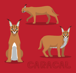 Caracal Wild Cat Cartoon Vector Illustration