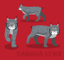 Canada Lynx Cat Cartoon Vector Illustration