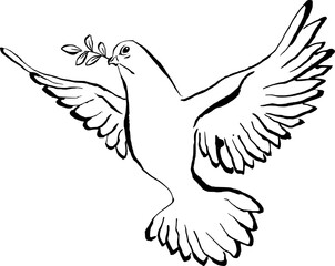 Taube fliegend mit Olivenzweig