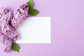 Mock up frame with lilac flowers on purple background with copy space. Romantic flowers composition, Valentine's day, Mother's day, Women's Day and love concept