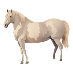 Horse of colorful set. Presentation of the grace and elegance of a horse in this beautifully crafted illustration, designed in a playful cartoon style on a white canvas. Vector illustration.