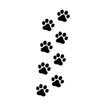 Dog or cat footprints. Vector isolated silhouette.