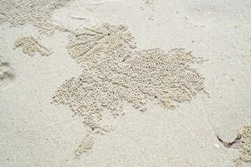 Sand bubbler Radial pattern in the sand. Crab make Sand bubbler patterns in the sand.