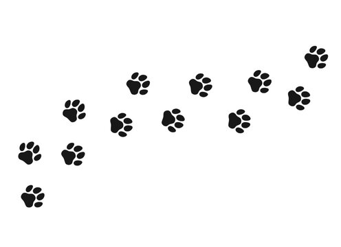 Paw print cat, dog, puppy pet trace. Isolated silhouette vector.