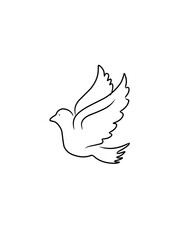 illustration of a bird