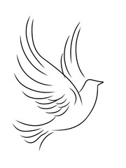 illustration of a bird