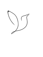 illustration of a bird