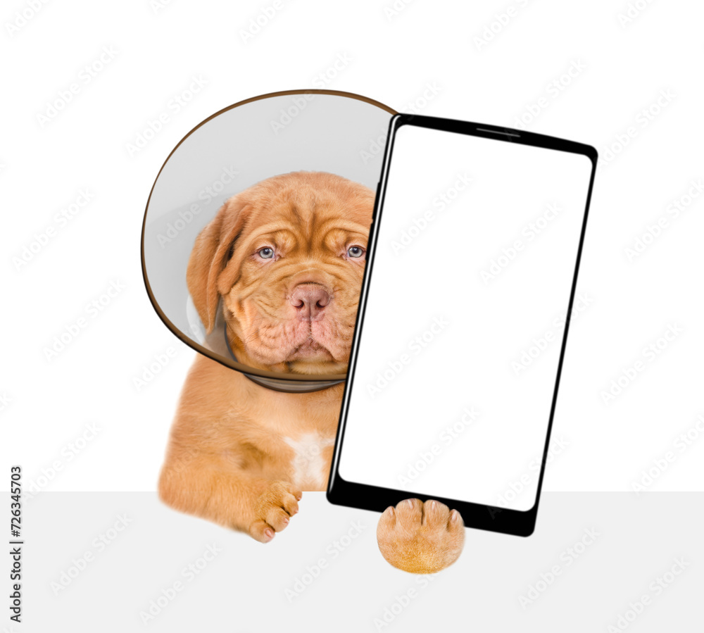 Poster unhappy mastiff puppy with protective cone collar looking above empty white banner and shows big sma