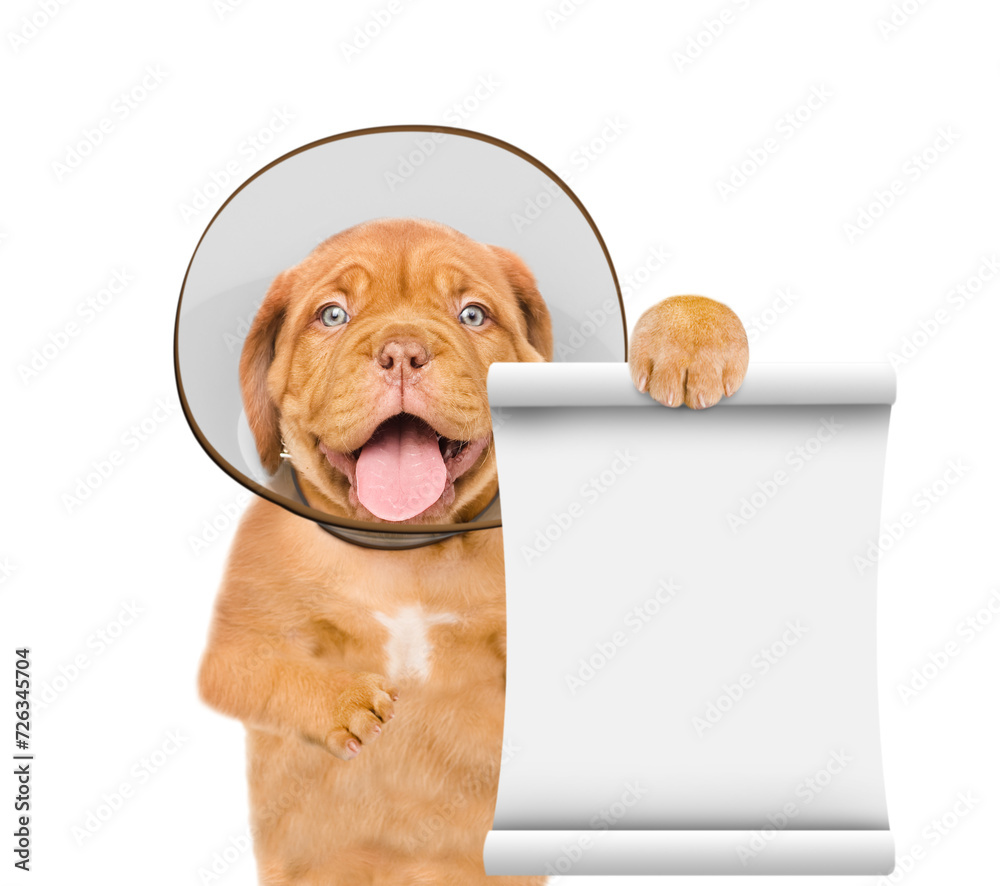 Poster happy sick mastiff puppy with protective cone collar on her neck shows empty list. isolated on white