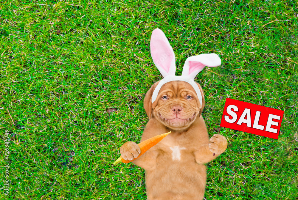 Poster Smiling Mastiff puppy wearing easter rabbits ears holds carrot and shows signboard with labeled 