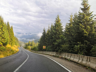 Fototapeta na wymiar Asphalted road through the Carpathian mountains. mountain getaway by car