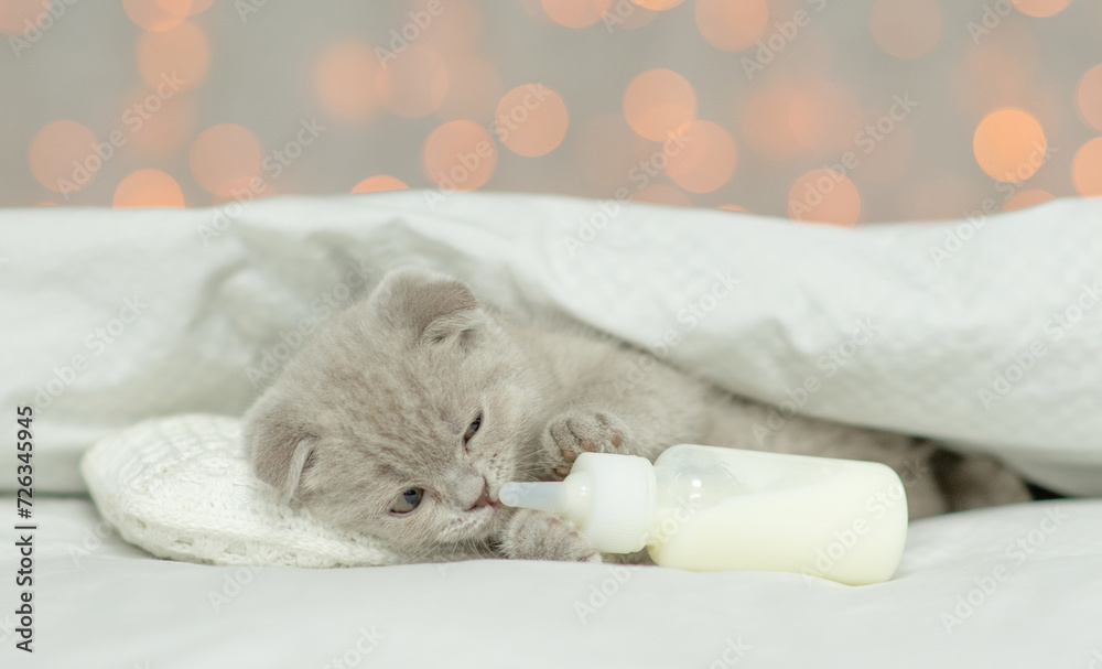 Poster sleepy tiny kitten lying under blanket on a bed at home and drinks milk from tiny bottle
