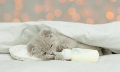 Sleepy tiny kitten lying under blanket on a bed at home and drinks milk from tiny bottle