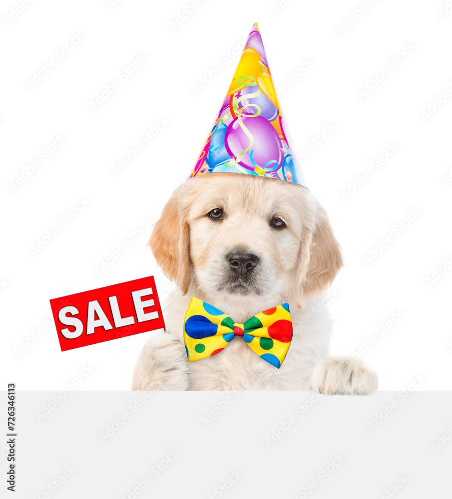 Poster golden retriever puppy wearing party cap shows signboard with labeled 