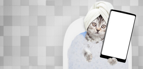 Cute kitten with towel on it head takes the bath with foam at home and shows big smartphone with...