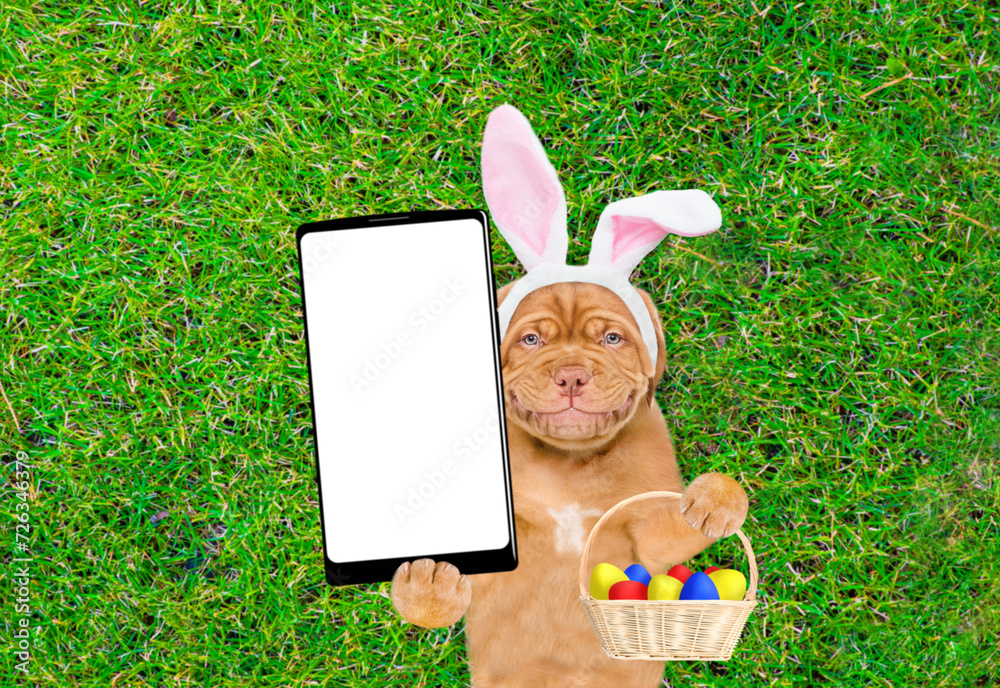 Poster smiling mastiff puppy wearing easter rabbits ears holding basket of painted easter eggs and lying on