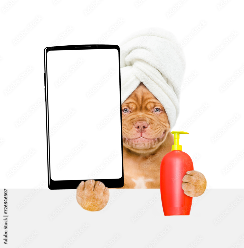 Poster mastiff puppy with towel on it head holds bottle of fleas shampoo and big smartphone with white blan