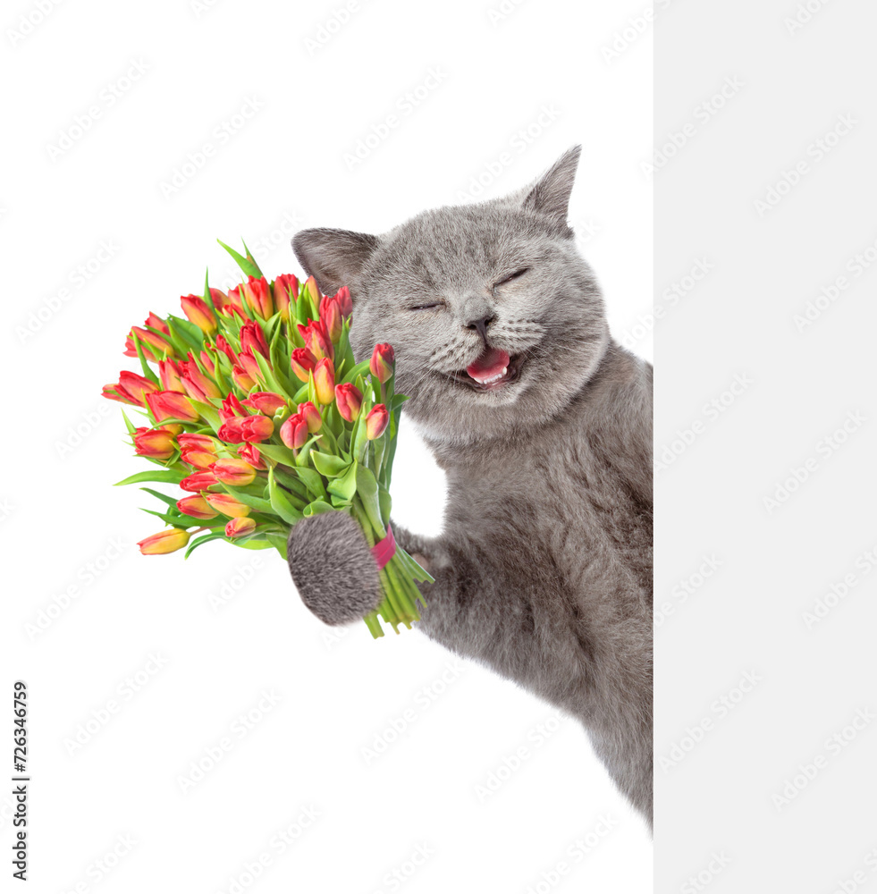 Poster laughing cat with a bouquet of tulips behind a white and blank banner. isolated on white background