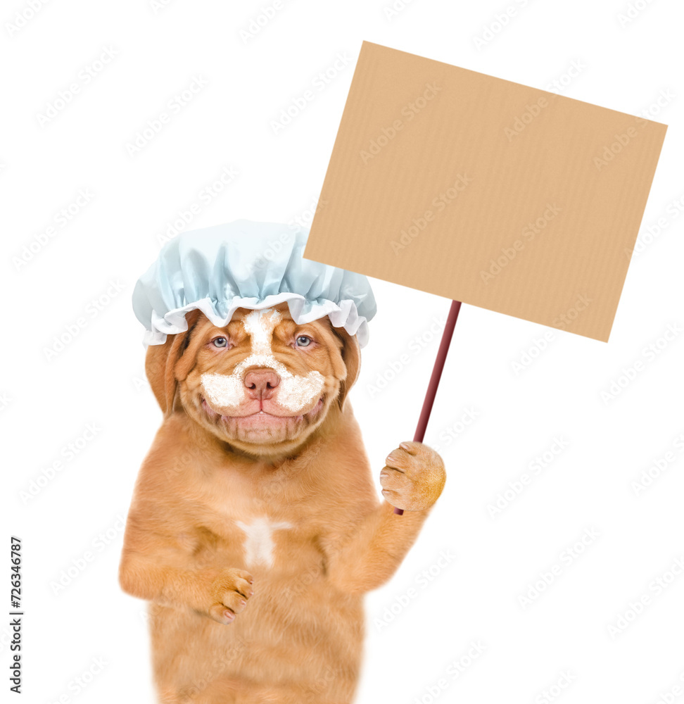 Poster Smiling Mastiff puppy wearing shower cap with cream on it face shows empty placard. isolated on white background