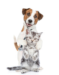 Funny jack russell terrier wearing like a doctor with stethoscope on his neck hugs tiny kitten. isolated on white background