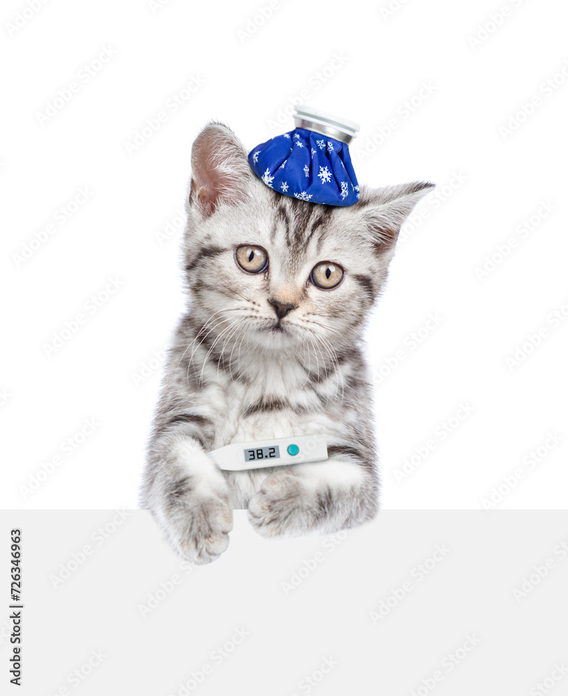 Poster sad sick kitten with ice bag or ice pack on his head holds a thermometer under the paw looks above e