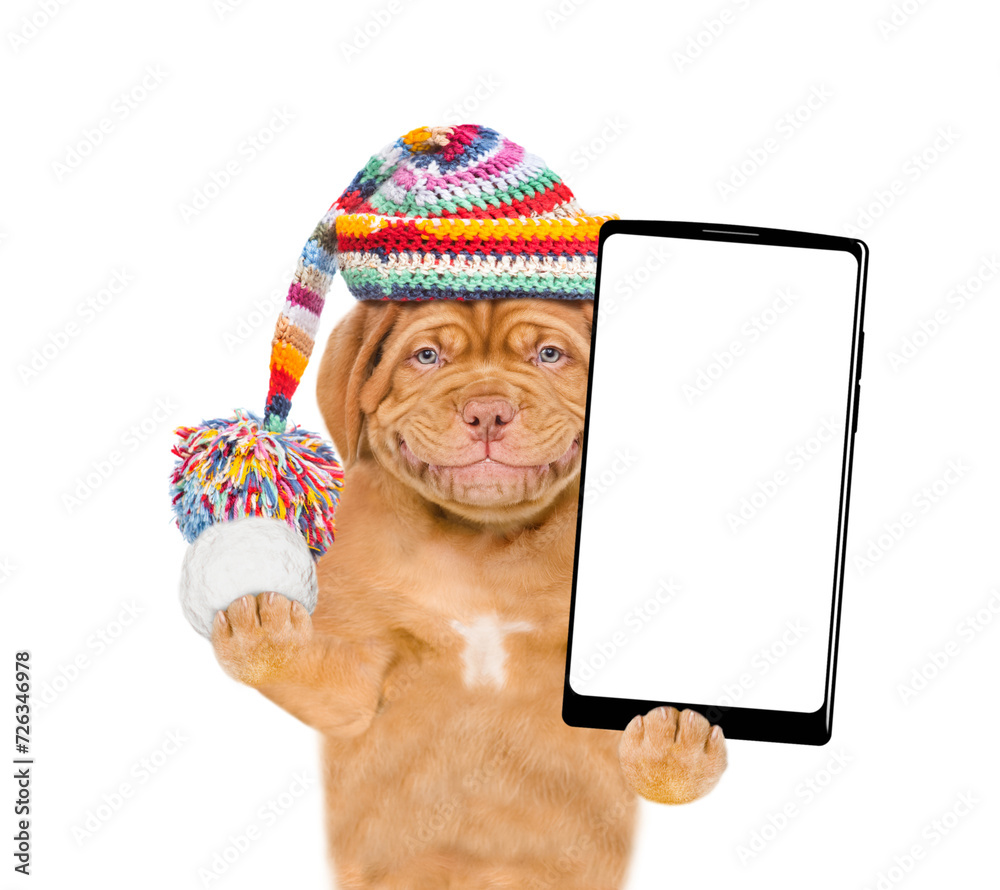 Aufkleber smiling puppy wearing a warm hat with pompon holds snowball and holds smartphone with white blank sc