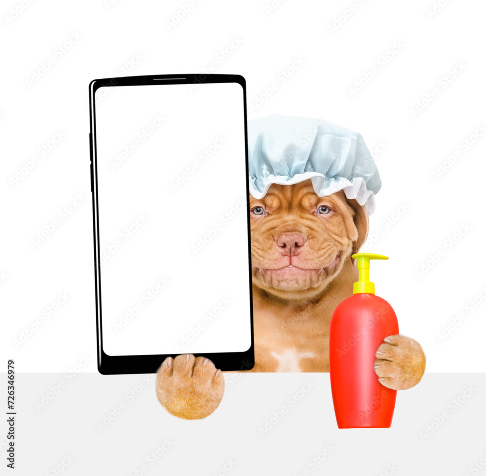 Poster mastiff puppy wearing shower cap holds bottle of fleas shampoo and big smartphone with white blank s