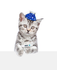 Sad sick kitten with ice bag or ice pack on his head holds a thermometer under the paw looks above...