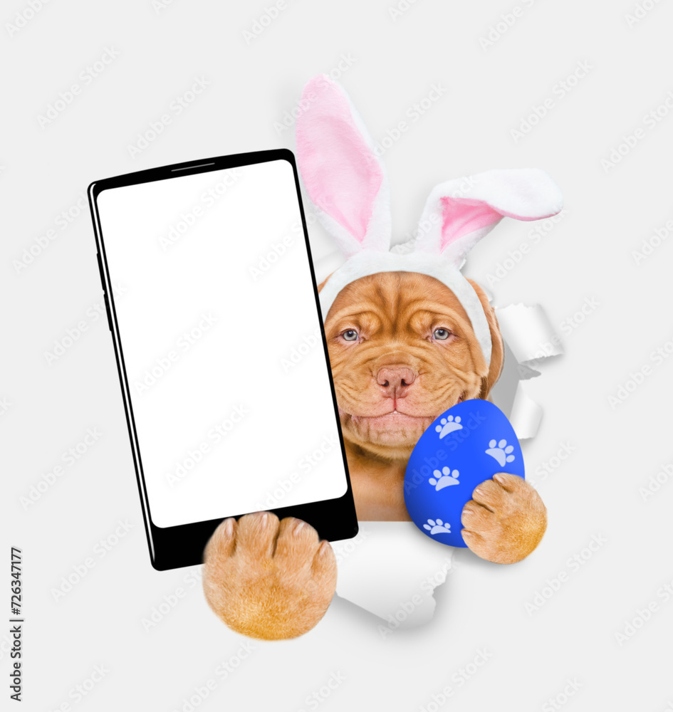 Aufkleber smiling mastiff puppy wearing easter rabbits ears holds painted easter egg and big smartphone with w