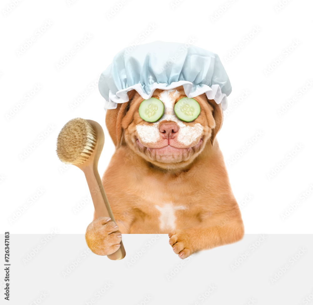 Poster Smiling Mastiff puppy wearing shower cap with pieces of cucumber on it eyes and with cream on it face looks above empty white banner and holds shower brush. isolated on white background