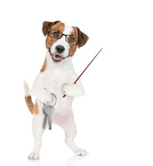 Smart Jack russell terrier puppy wearing eyeglasses holds in his paw the keys to a new apartment...