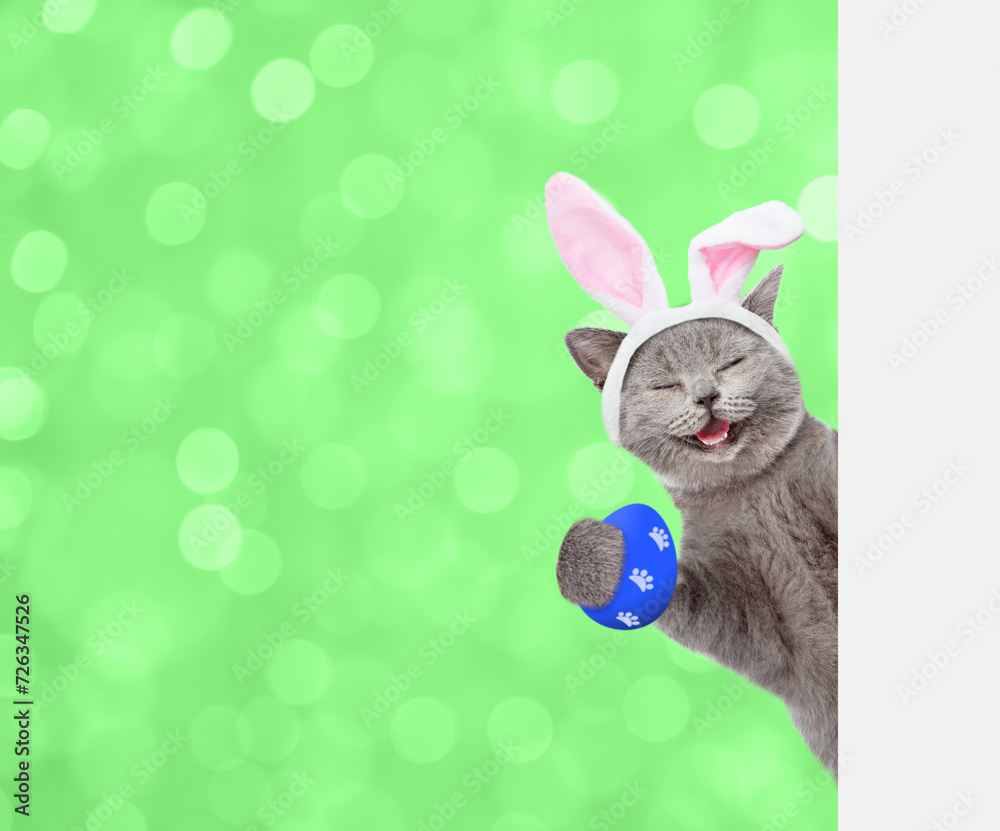 Aufkleber happy kitten wearing easter rabbits ears holds colorful easter egg and looks from behind empty white