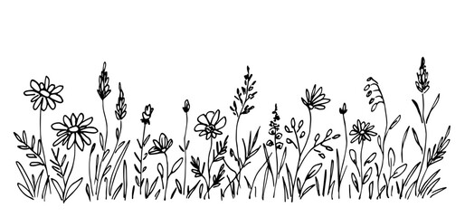 Floral border, meadow grass, wild flowers, lawn, field plants. Nature and vegetation, herbs. Hand drawn vector drawing with black outline, ink sketch.