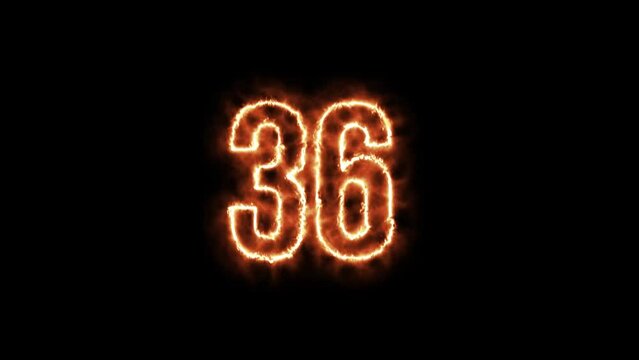 FUN FACTS ABOUT THE NUMBER 36 visual data 2