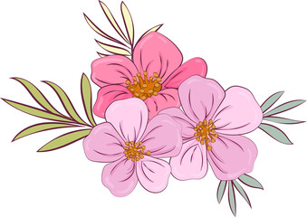 Garden flowers design bouquets. Floral wedding borders composition. Pink flowers on transparent, png.