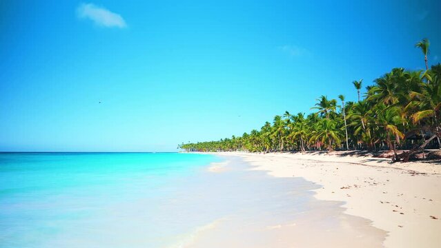 Summer seascape of Dominican beach with palm trees on white sand against a blue sky. Paradise island on a sunny summer day. Romantic idealistic image of an exotic beach holiday.